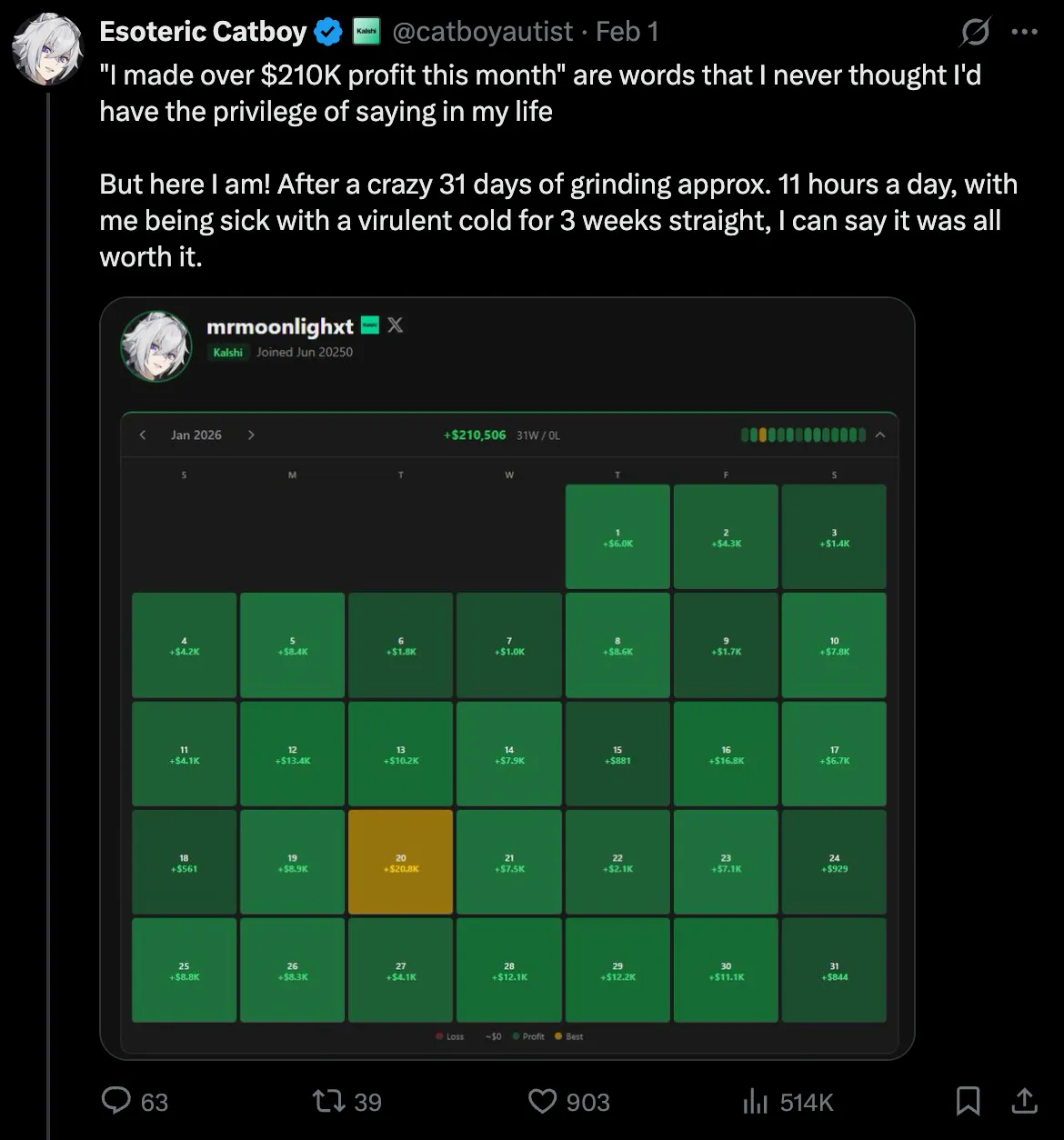 catboyautist's perfect January calendar